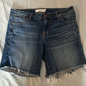 Torrid Women's Blue Jean Shorts